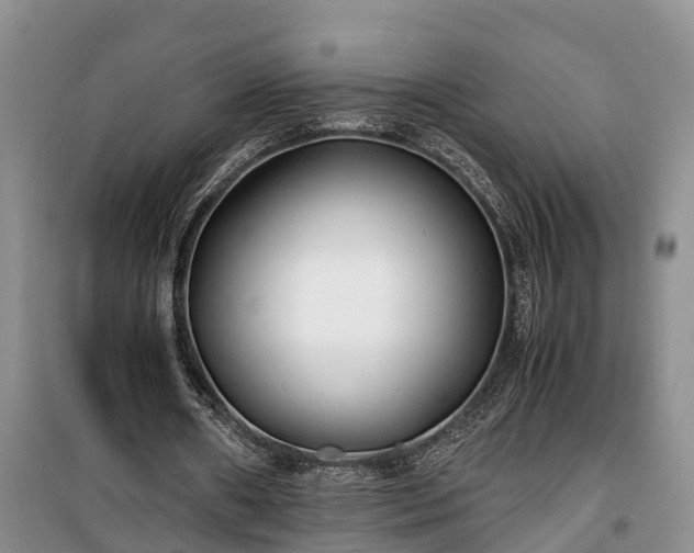 X0000100380482200806131103