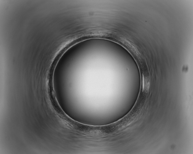 X0000100380483200806131103