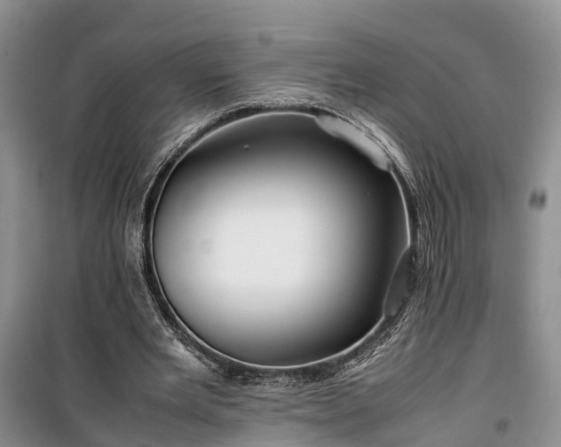 X0000100380485200806131103