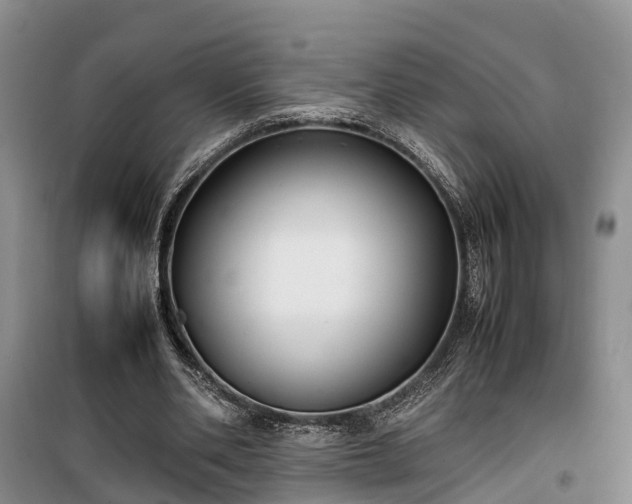 X0000100380486200806131103