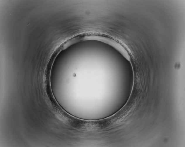 X0000100380487200806131103