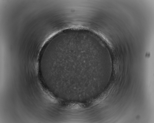 X0000100380488200806131103