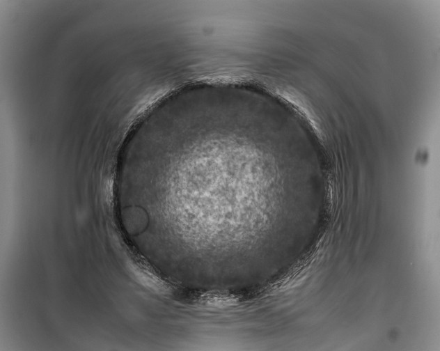 X0000100380491200806131103