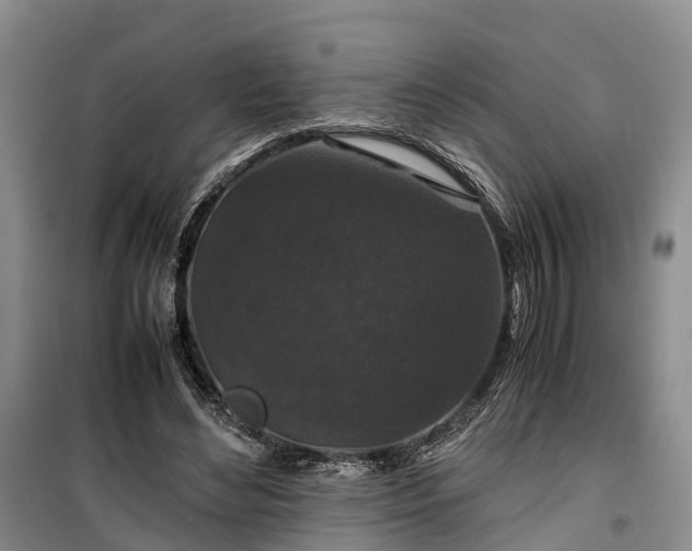 X0000100380492200806131103