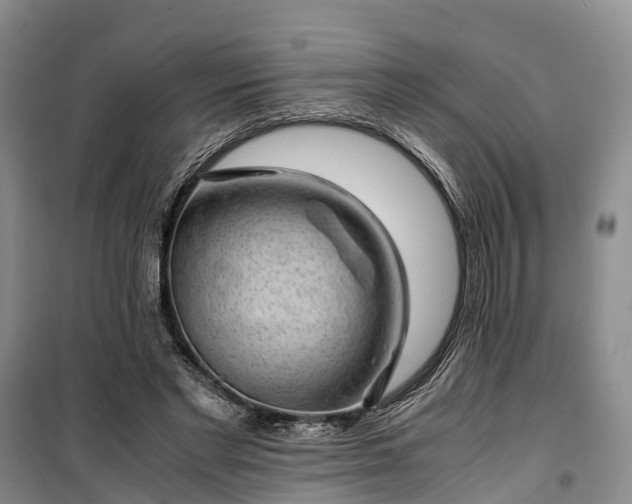 X0000100380493200806131103