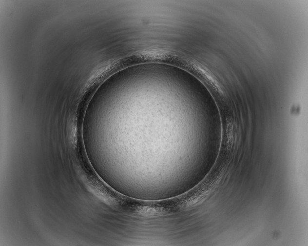 X0000100380494200806131103