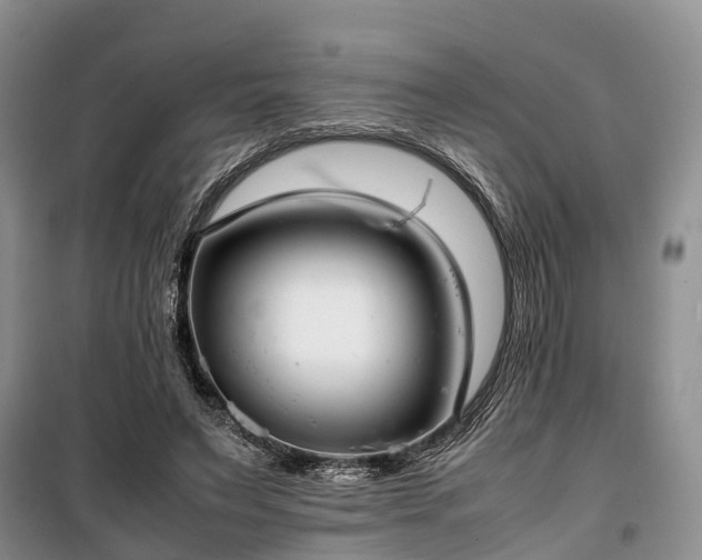 X0000100380495200806131103