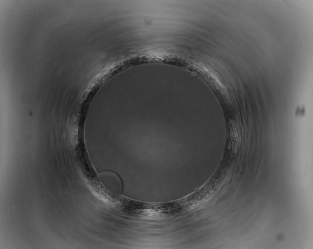 X0000100380496200806131103