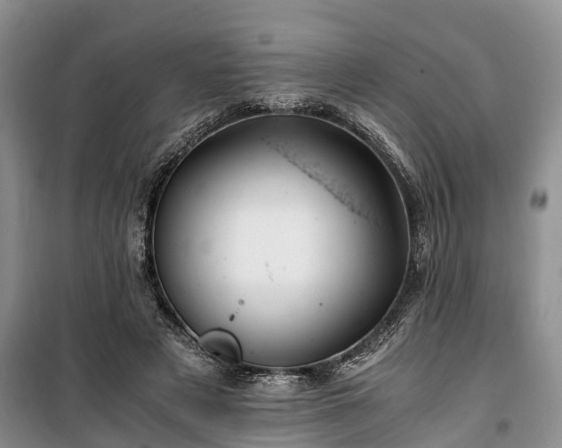 X0000100380497200806131103