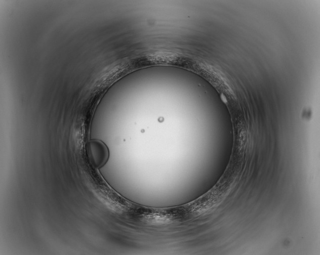 X0000100380498200806131103