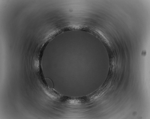 X0000100380500200806131103