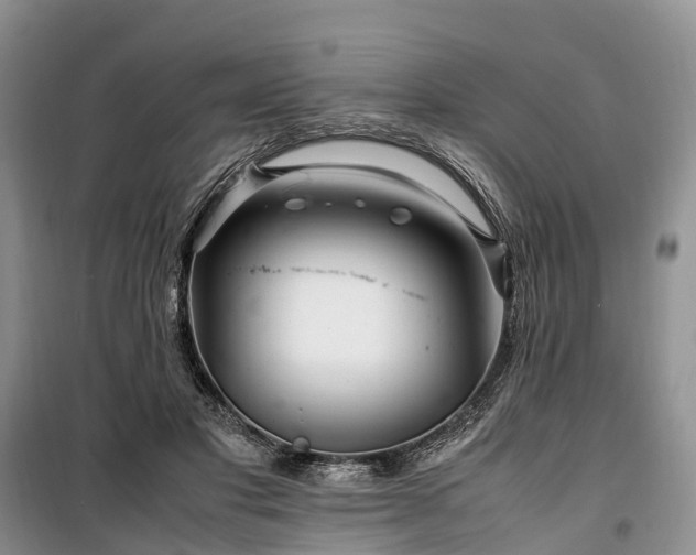 X0000100380501200806131103