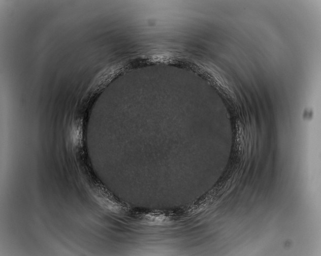X0000100380502200806131103