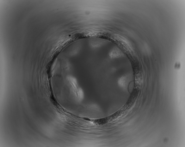 X0000100380503200806131103