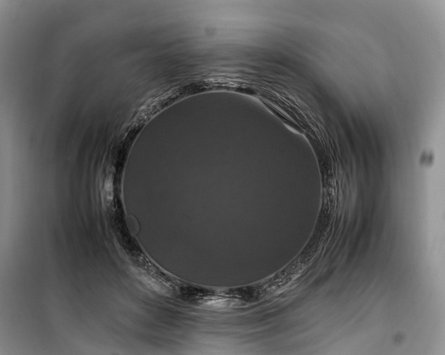 X0000100380504200806131103