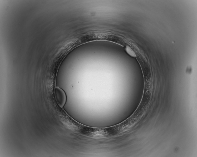 X0000100380505200806131103