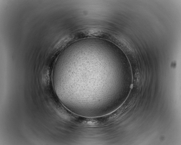 X0000100380506200806131103