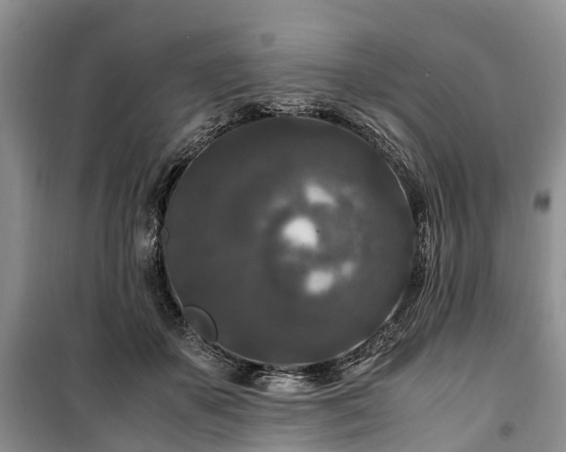 X0000100380507200806131103
