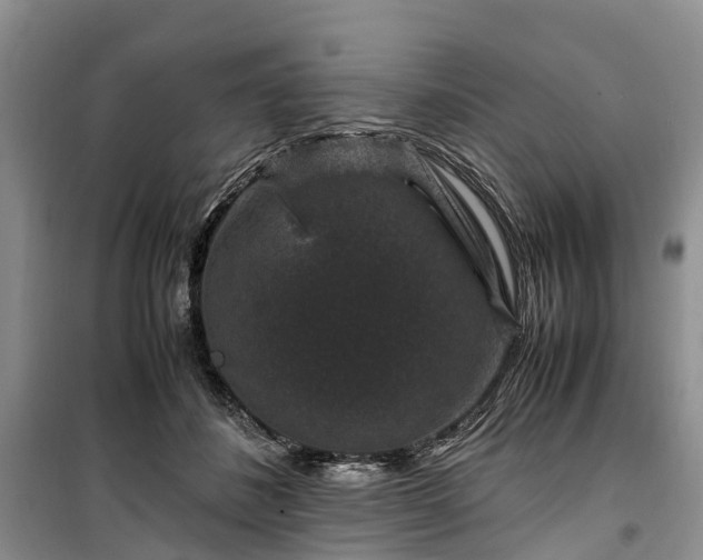 X0000100380508200806131103