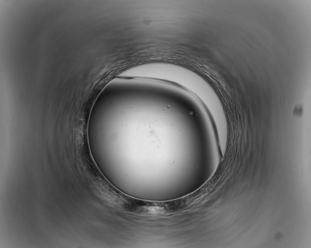 X0000100380509200806131103