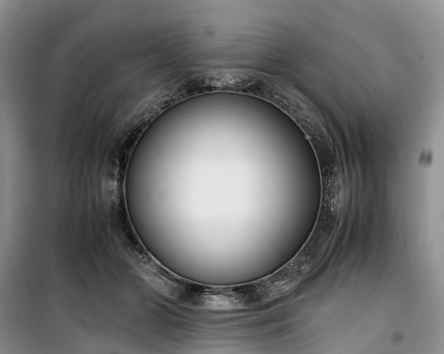 X0000100380510200806131103