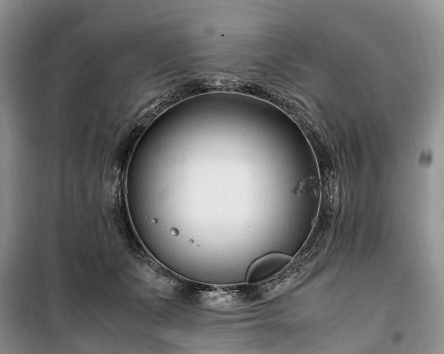 X0000100380511200806131103