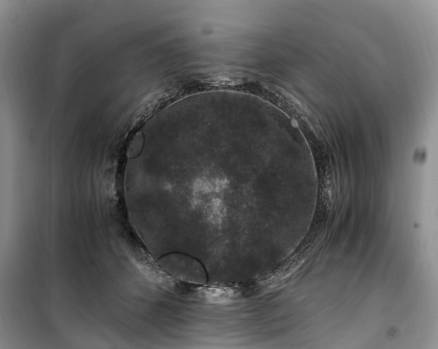 X0000100380512200806131103
