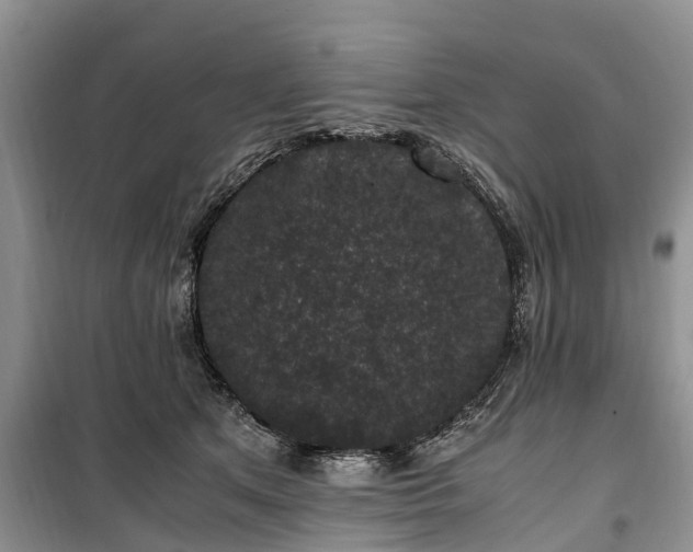 X0000100380513200806131103