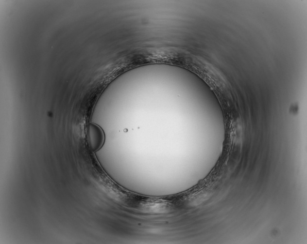 X0000100380514200806131103