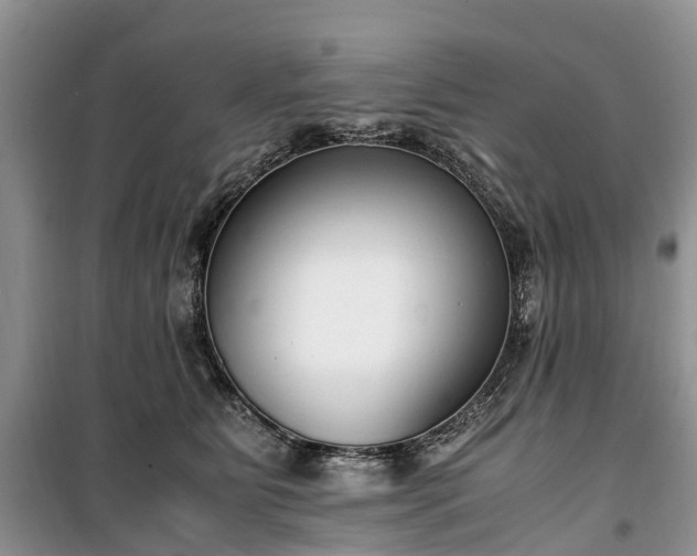X0000100380515200806131103