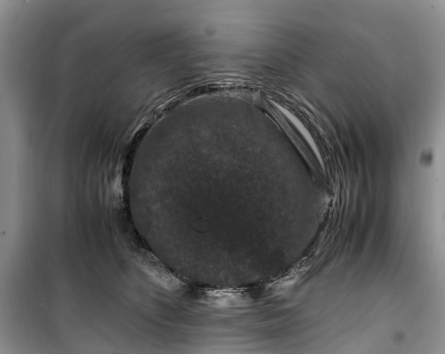 X0000100380516200806131103