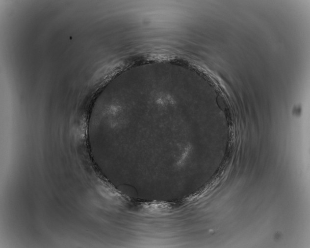 X0000100380517200806131103