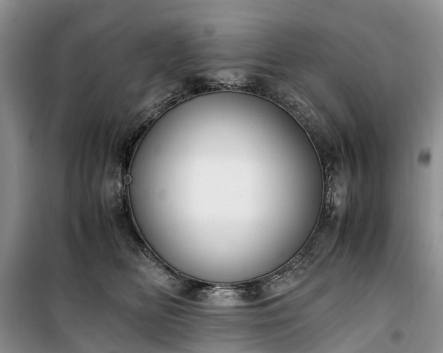 X0000100380518200806131103