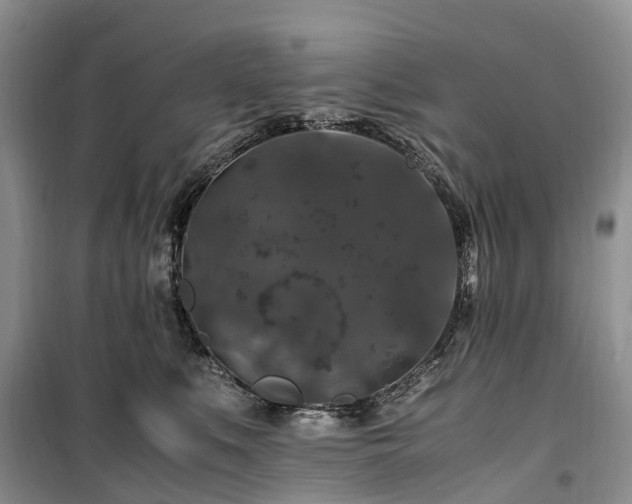 X0000100380519200806131103