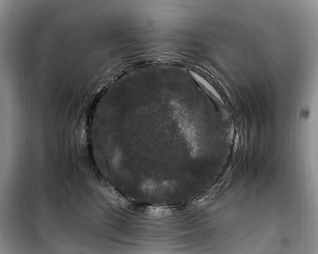 X0000100380520200806131103