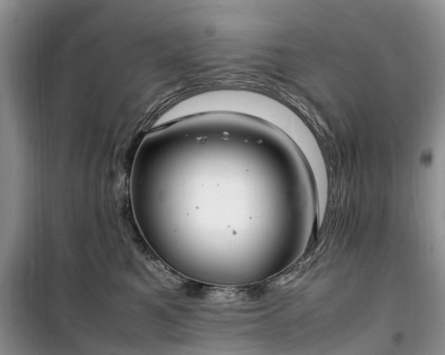 X0000100380521200806131102