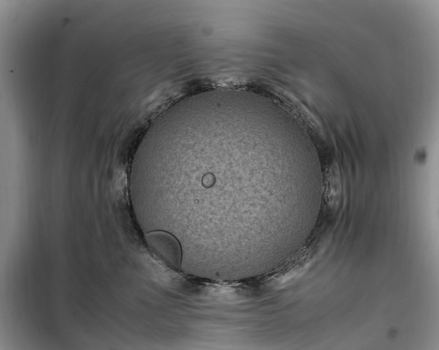 X0000100380523200806131102