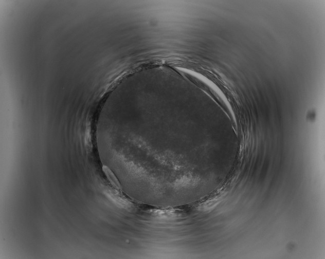 X0000100380524200806131102