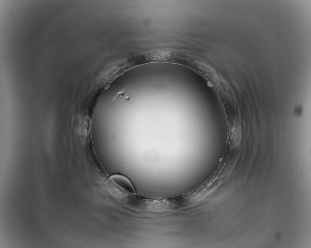 X0000100380525200806131102