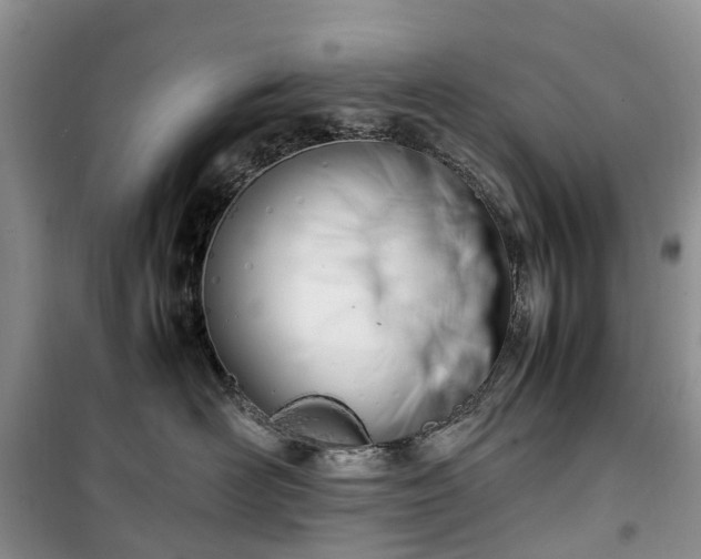 X0000100380526200806131102