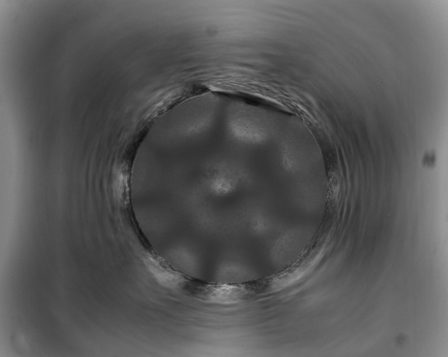 X0000100380527200806131102