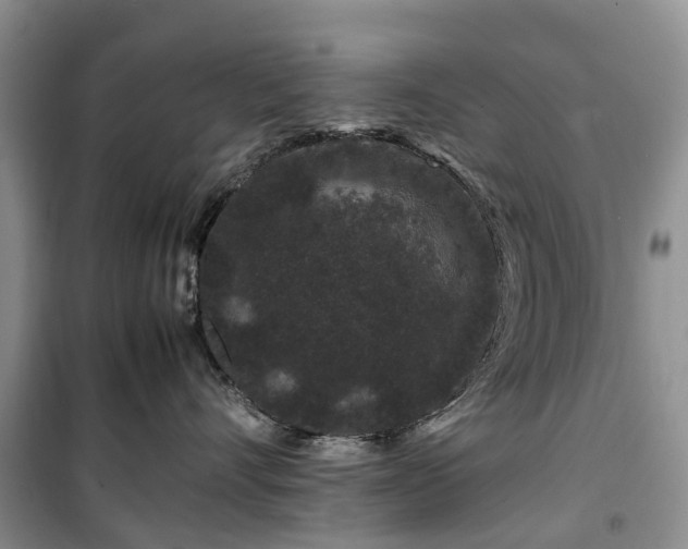 X0000100380528200806131102