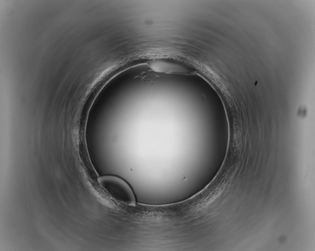 X0000100380530200806131102