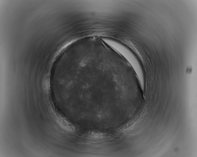 X0000100380531200806131102