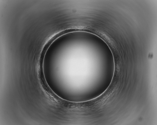 X0000100380532200806131102