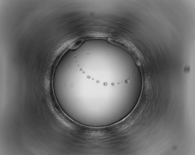 X0000100380533200806131102