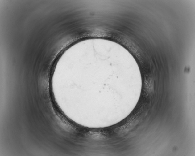 X0000100380534200806131102
