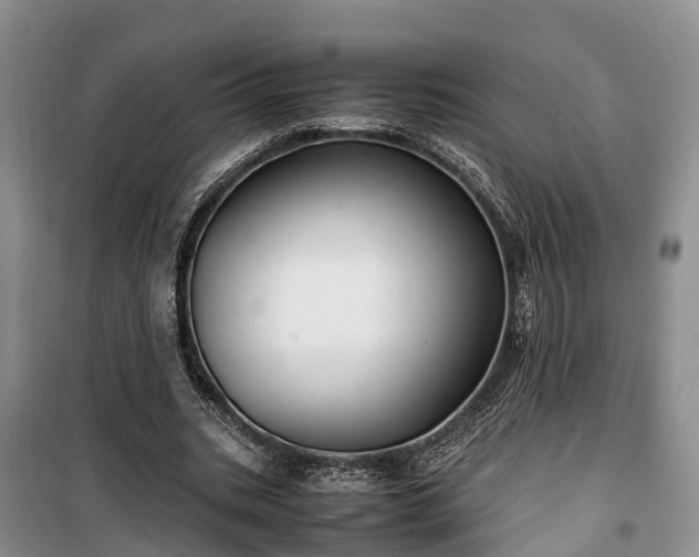 X0000100380535200806131102