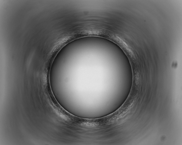 X0000100380537200806131102