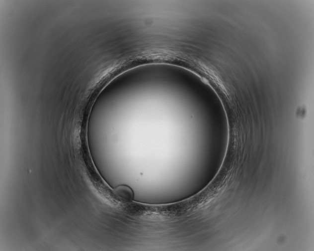 X0000100380538200806131102